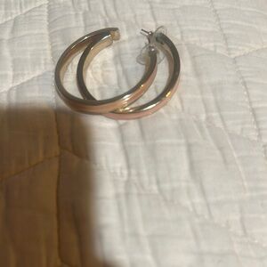 Elegant Silver and Gold Hoop Earrings